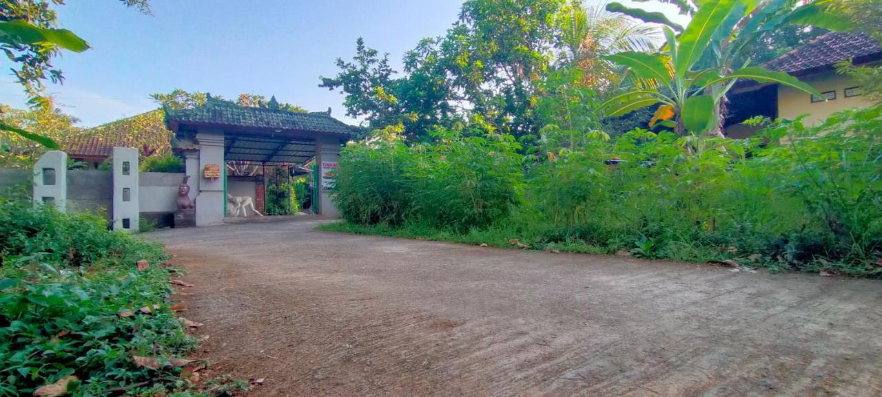 Tunjung Guest House Lovina Beach Buleleng  Luaran gambar